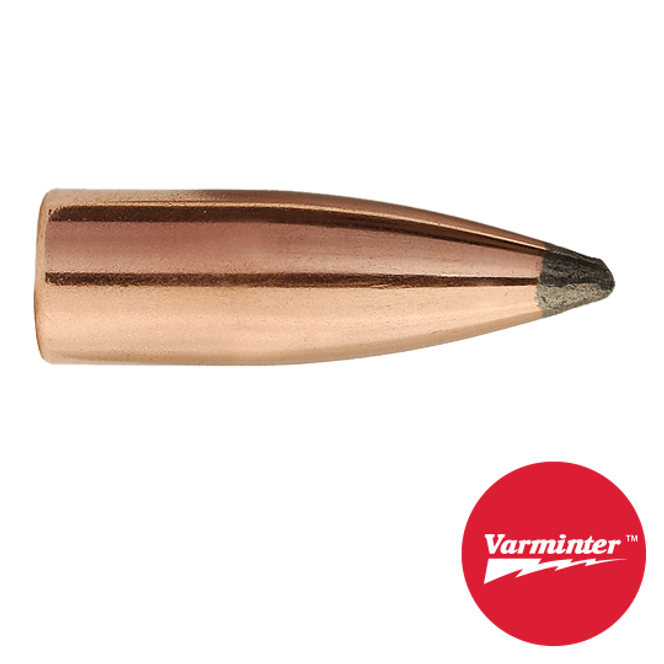 22 CAL 55 GR Varminter