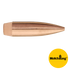 22 CAL 69 GR HPBT MatchKing (SMK)