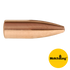 22 CAL 53 GR HP MatchKing (SMK)