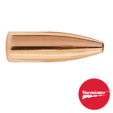 6MM 60 GR HP Varminter