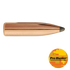 6MM 100 GR SPT Pro-Hunter