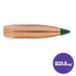 22 CAL 69 GR Tipped MatchKing (TMK)
